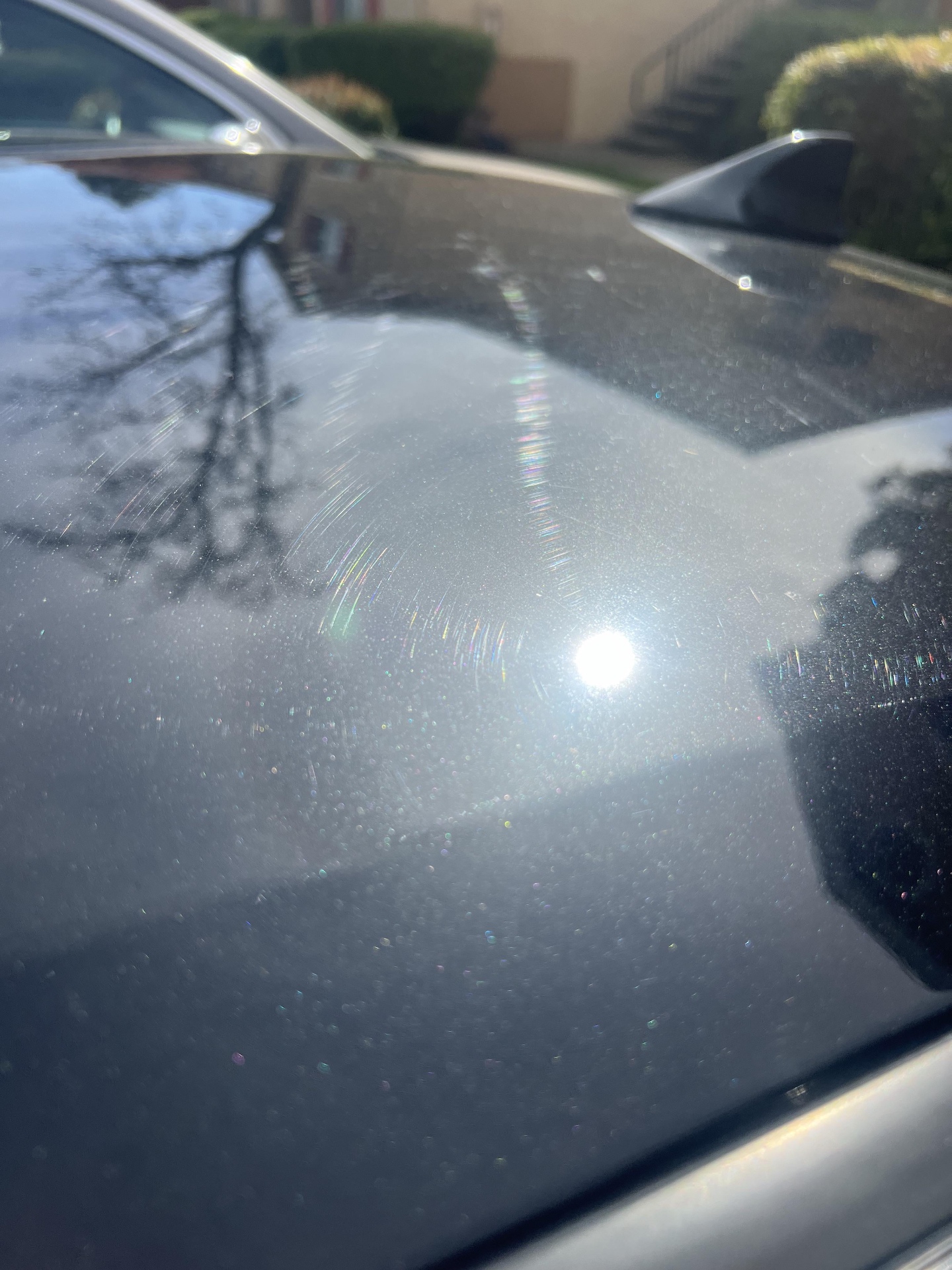 Close-up of dark paint covered in swirl marks under sunlight